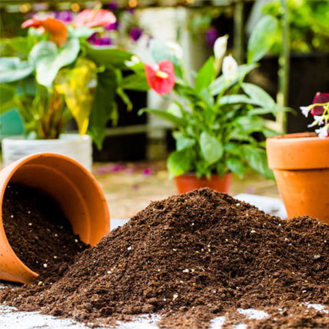 通用營養土花土種菜土盆栽花卉種植土多肉土綠蘿土花泥土有機肥料