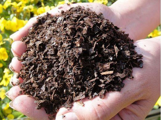 不花一分錢,自制養花營養土,松軟沒害蟲,營養肥力足,養啥爆啥