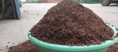 2位高材生1年賣 土 做到行業老大,一般人沒發現,1月賺4000萬