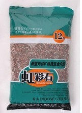【多肉植物鋪面】最新最全多肉植物鋪面 產品參考信息