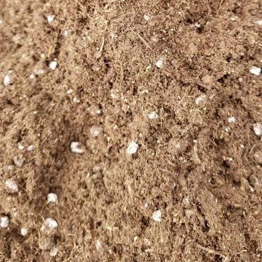 園林綠化營養土多少錢一噸