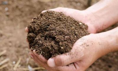 將尿液長期澆在土里會變成適合植物生長的營養土嗎