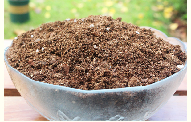 盆栽植物專用基質 10L 藍莓樹莓草莓營養土介質