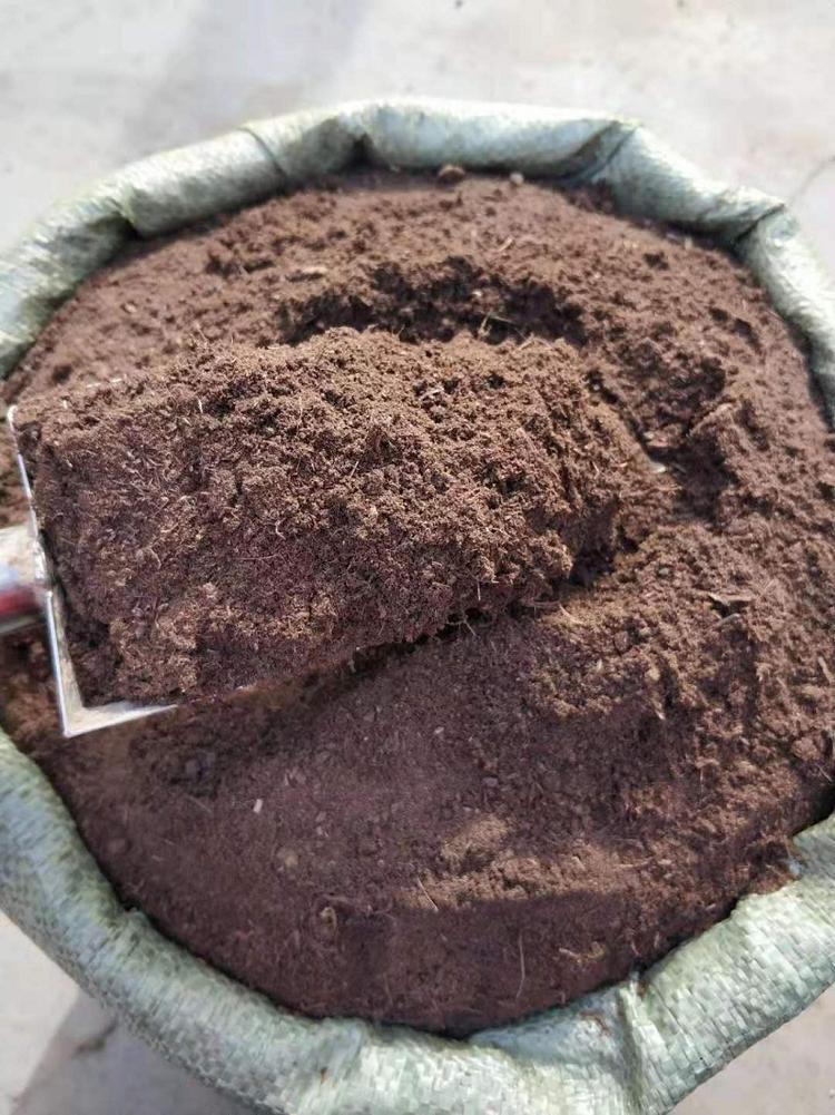 草炭土 泥炭土 營養(yǎng)土 育苗基質(zhì)廠家直銷