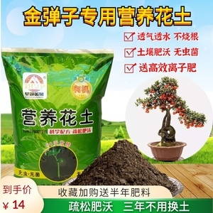 盆景專(zhuān)用營(yíng)養(yǎng)土
