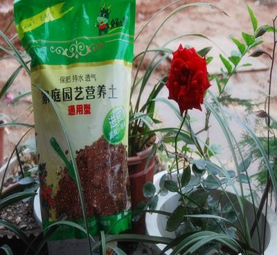 花土營(yíng)養(yǎng)土花卉盆栽盆景 陽(yáng)臺(tái)屋頂家庭園藝 內(nèi)含花肥 6升裝