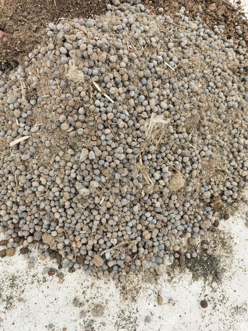 營養土不用買,3種 廢物 摻一摻,肥的流油,養花一級棒