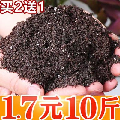 轉發(fā)動態(tài)