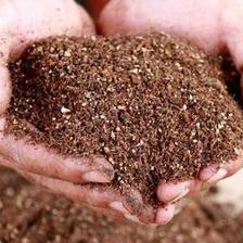 干貨!用這10種&ldquo;廢品&rdquo;養(yǎng)月季花、梔子花,比買(mǎi)來(lái)的營(yíng)養(yǎng)土都好使