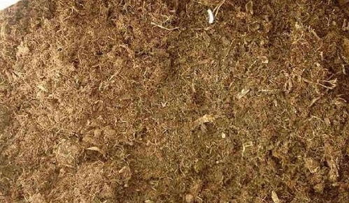 教你搭配養(yǎng)分高的營養(yǎng)土,幾種土壤搭配在一起,養(yǎng)花超級好用