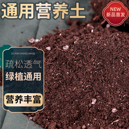 營養(yǎng)土的多樣應(yīng)用 從通用種植到專業(yè)養(yǎng)護(hù)