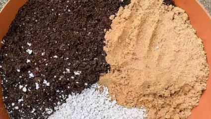 養花其實不用買土，這么配置萬能營養土，有營養又透氣