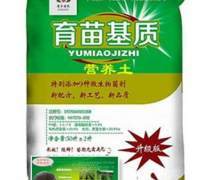 永安育苗基質 選購指南與市場動態