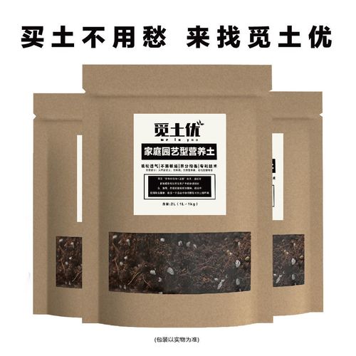 花盆底部墊料選擇指南 科學搭配營養土，助力植物健康生長