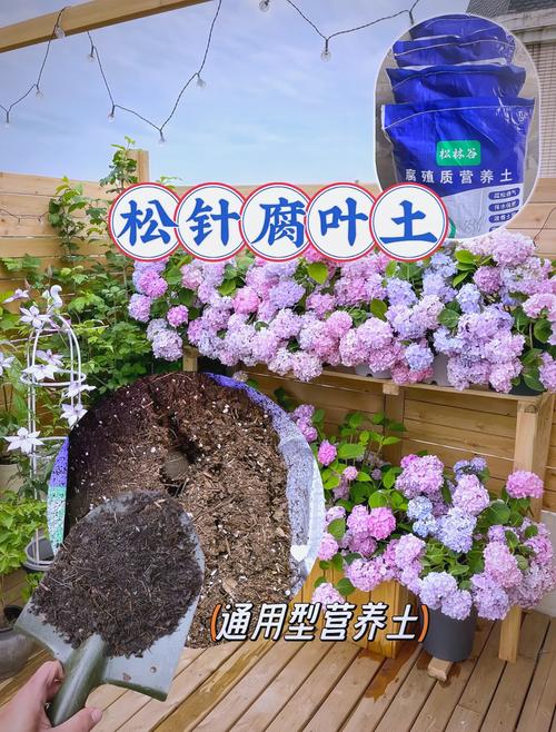 松針腐葉土 花卉蔬菜的超級(jí)營(yíng)養(yǎng)土