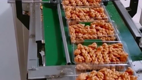 傳統美食與綠色生活 表妹帶來的大麻花與營養土