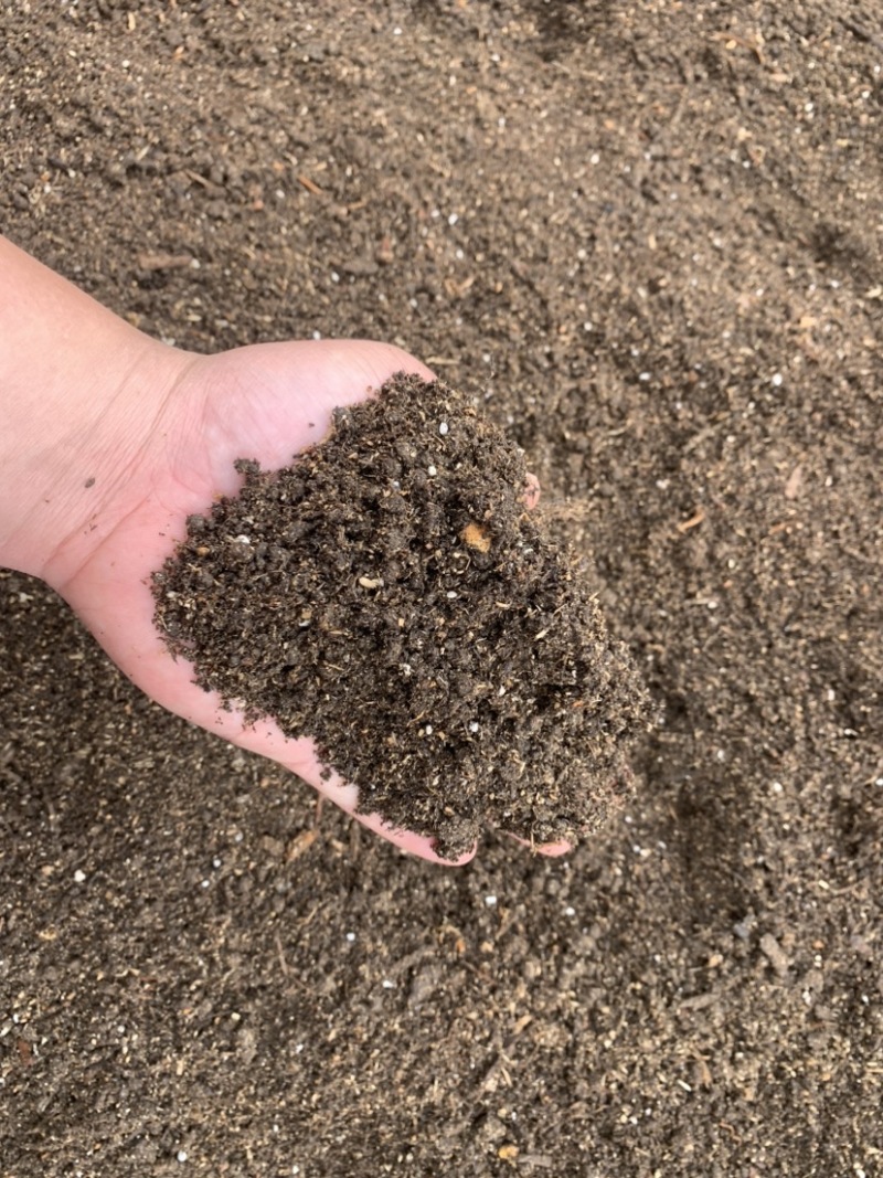 肇慶高要區優質育苗基質 經濟實用的泥炭土營養土選擇