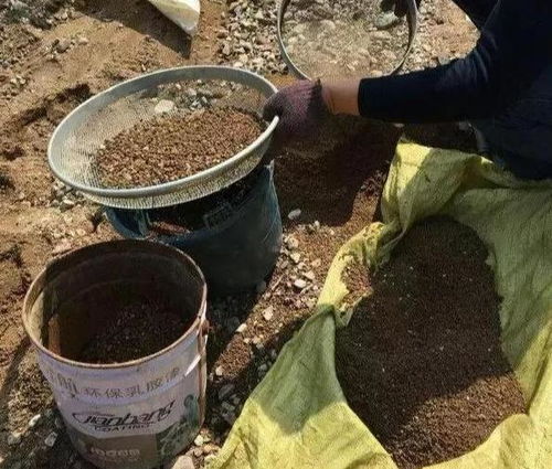 自制營(yíng)養(yǎng)土 養(yǎng)花不花錢，添上這幾樣，比買的還好！