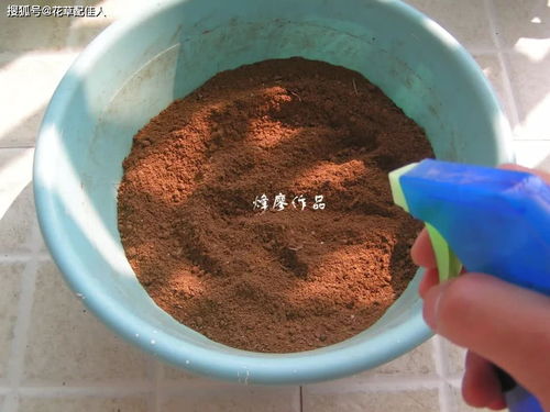 竹林深處藏寶土 天然腐殖土，養(yǎng)花勝買土