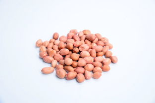 生花生米高清設(shè)計(jì)素材及飲品美食營(yíng)養(yǎng)大全